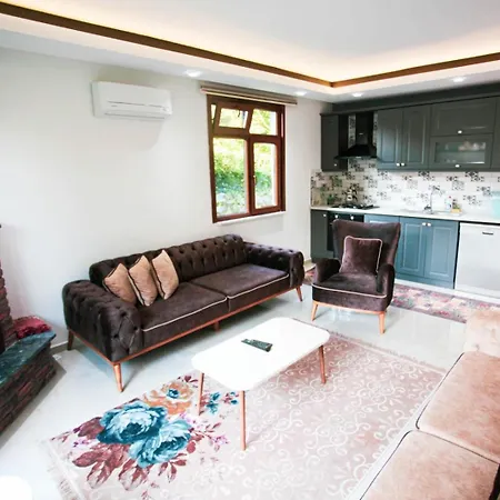 Sakarya Da Oezel Havuzlu , Ailelere Oezel Villa