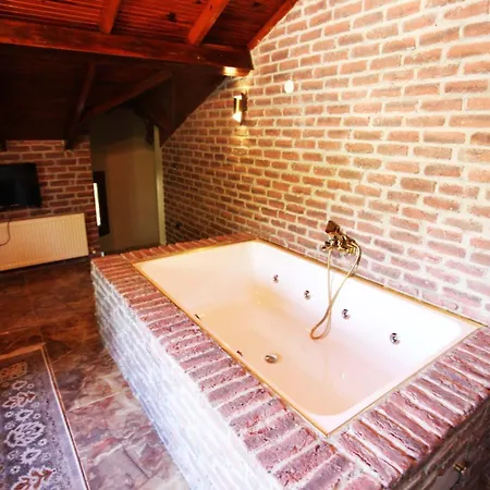 Sakarya Da Oezel Havuzlu , Ailelere Oezel Villa Sapanca