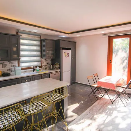 Sakarya Da Oezel Havuzlu , Ailelere Oezel Villa