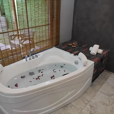 Sakarya Da Oezel Havuzlu , Ailelere Oezel Villa Sapanca