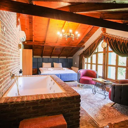 Villa Sakarya Da Oezel Havuzlu , Ailelere Oezel *