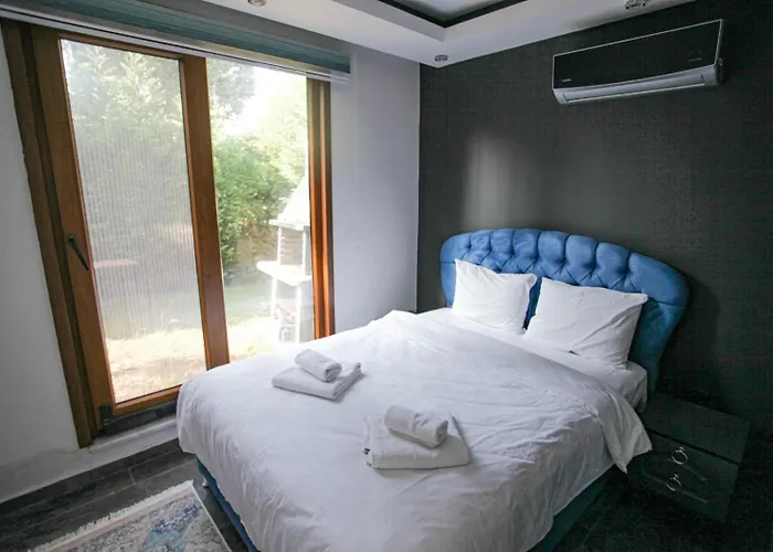 Sakarya Da Oezel Havuzlu , Ailelere Oezel וילה